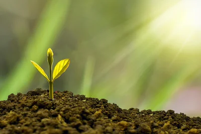 prévisionnel d’activité : comment anticiper la croissance de votre entreprise en 2025 ?