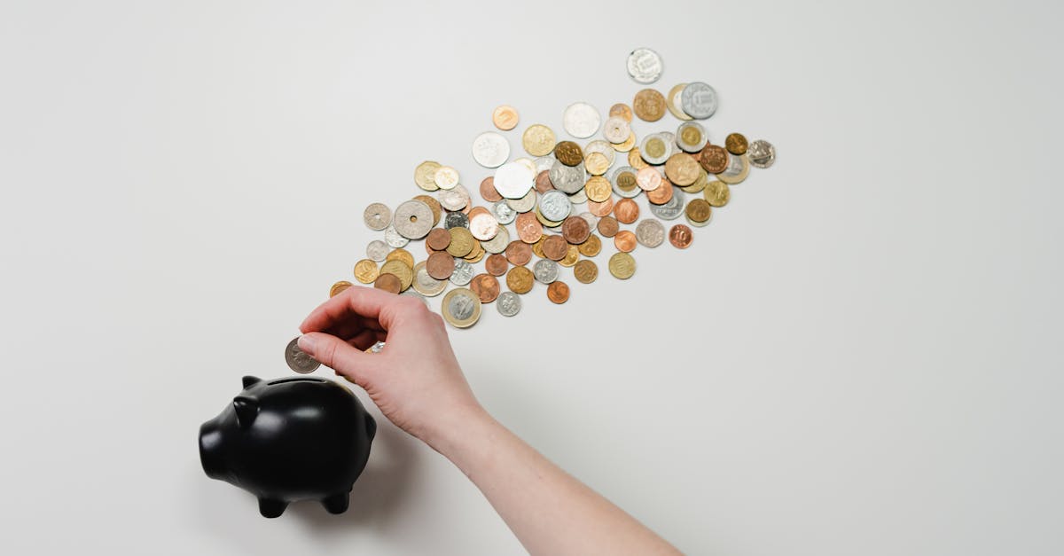 découvrez les stratégies essentielles de finance d'entreprise pour maximiser vos profits et optimiser vos investissements. explorez nos conseils pratiques pour gérer efficacement vos ressources financières et assurer la croissance de votre activité.