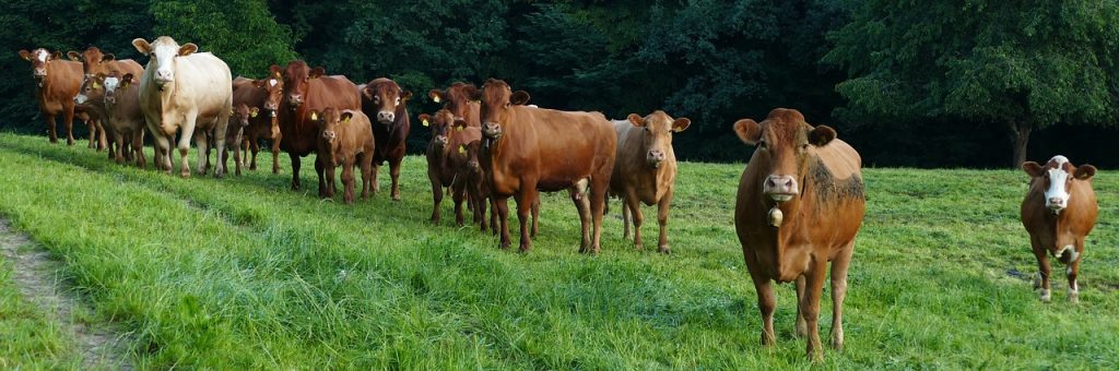 découvrez le rôle, les missions et l’importance d’un comité d’entreprise pour représenter les salariés, défendre leurs droits et favoriser le dialogue social au sein de l’entreprise.
