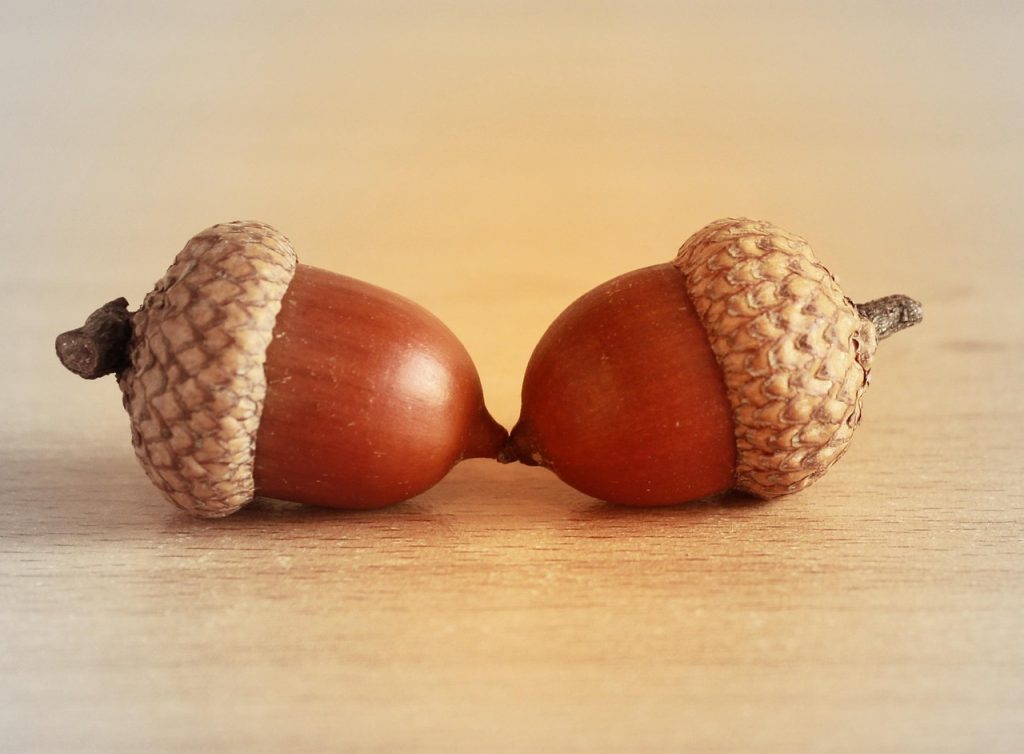 découvrez comment établir des partenariats solides pour développer votre entreprise, partager des ressources et atteindre de nouveaux marchés grâce à des collaborations efficaces.